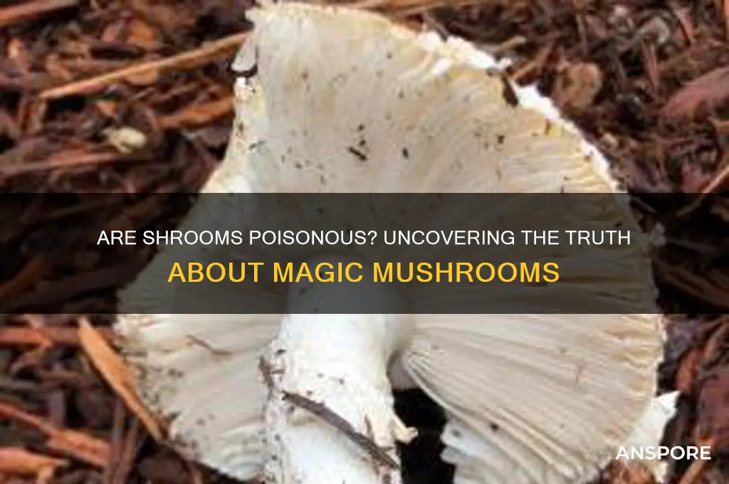 are shrooms poisonous