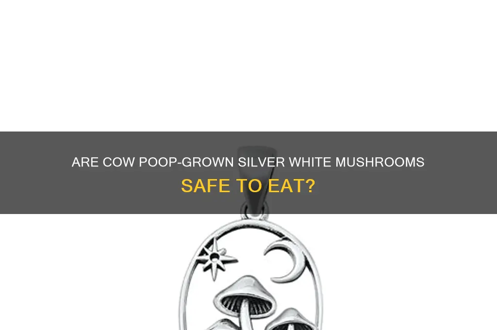 are silver white mushrooms that grow on cow poop poisonous