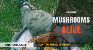 Mushrooms: Sliced but Still Alive?