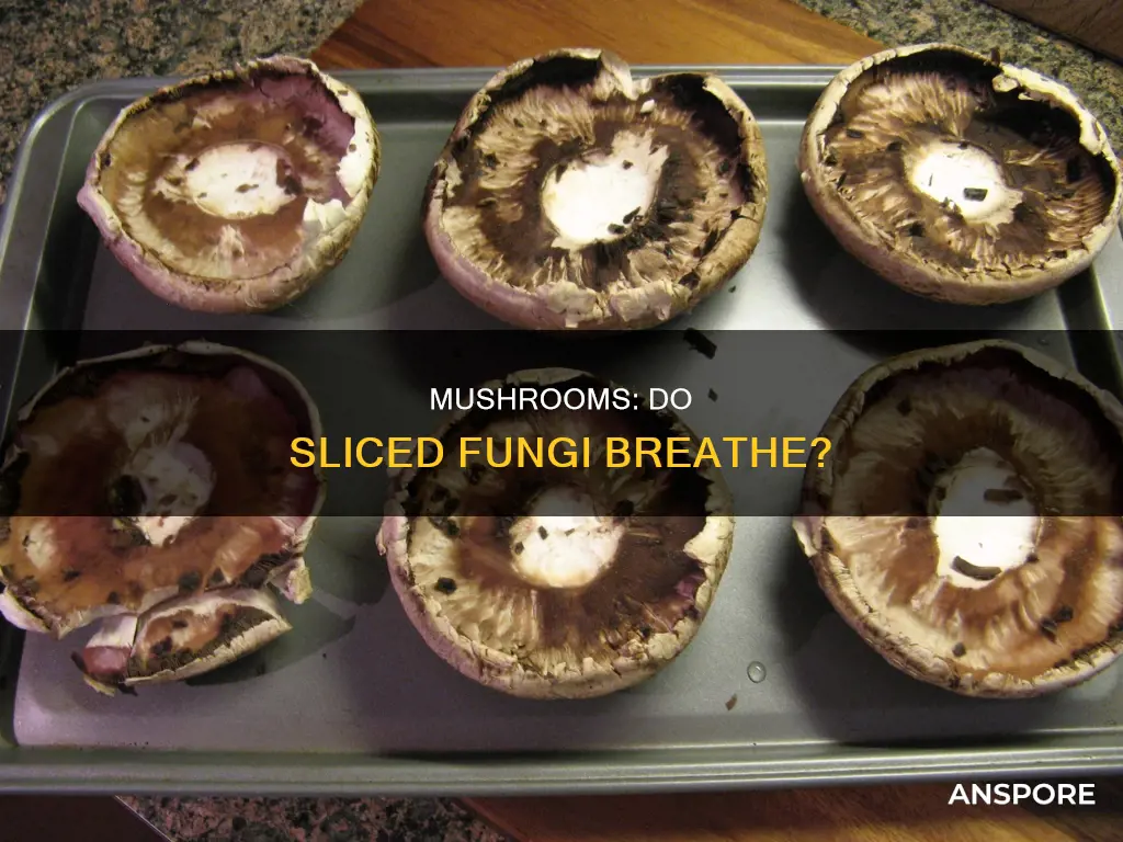 are sliced mushrooms breathers