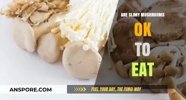 Slimy Mushrooms: Safe to Eat or Toxic? Expert Advice