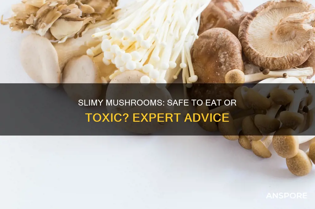 are slimy mushrooms ok to eat