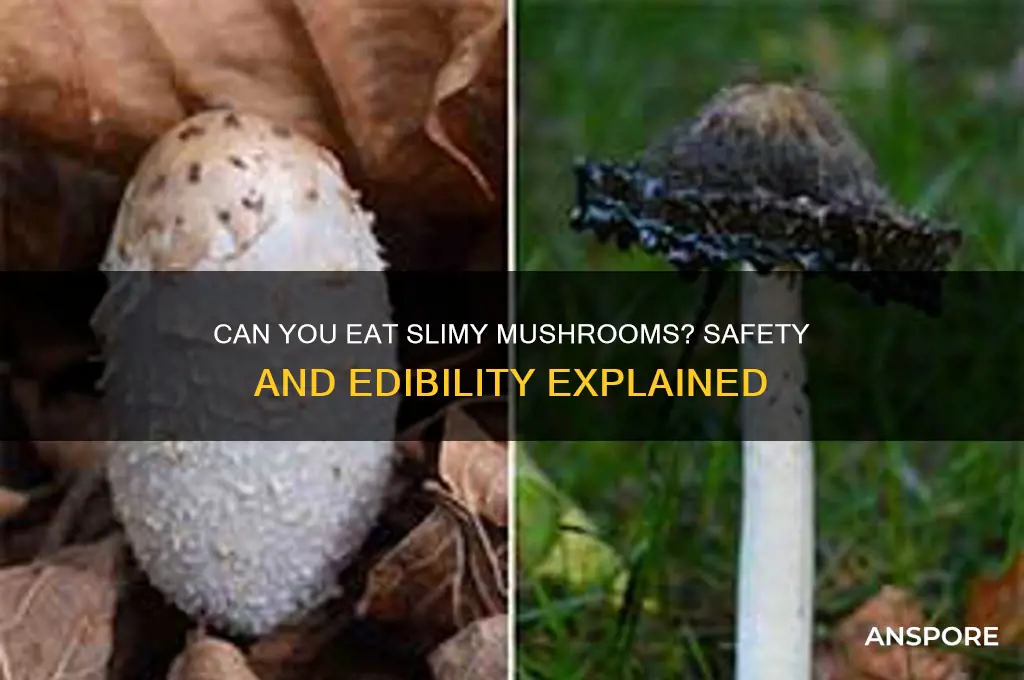 are slimy mushrooms still edible