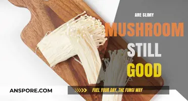 Are Slimy Mushrooms Safe to Eat? A Fungal Food Guide
