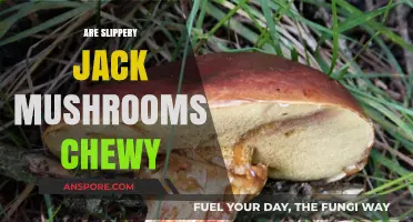 Chewy Slippery Jacks: What's the Deal?