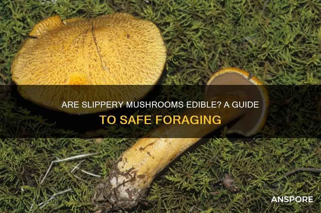 are slippery mushroom edible