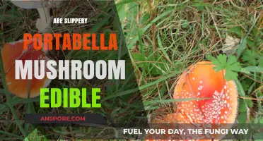 Are Slippery Portabella Mushrooms Safe to Eat? A Guide
