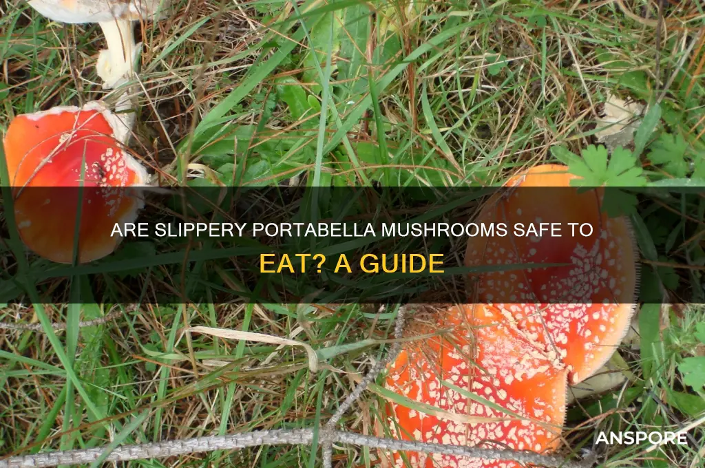 are slippery portabella mushroom edible