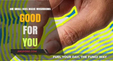 Microdosing Magic Mushrooms: Potential Benefits and Health Impacts Explored