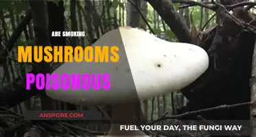 Are Smoking Mushrooms Poisonous? Unveiling the Risks and Truth