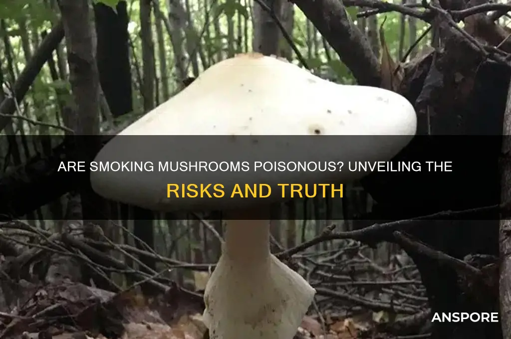 are smoking mushrooms poisonous