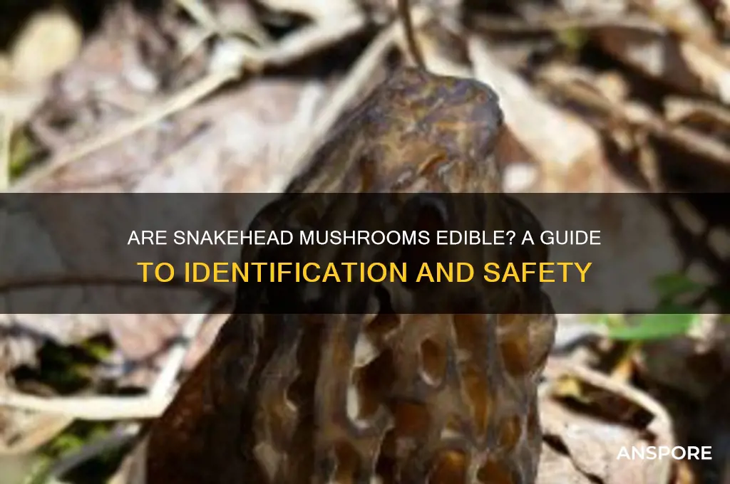 are snakehead mushrooms edible