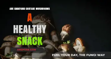 Shiitake Mushrooms: Healthy Snack or Health Risk?