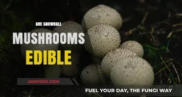 Are Snowball Mushrooms Edible? A Guide to Safe Foraging