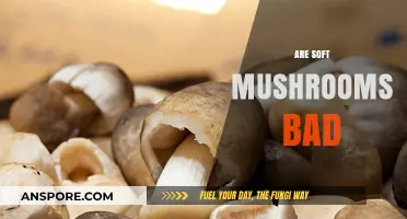 Are Soft Mushrooms Safe to Eat? A Comprehensive Guide