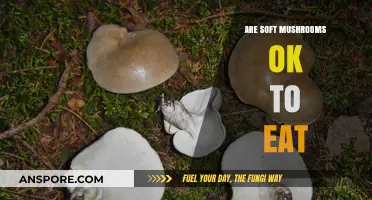 Soft Mushrooms: Safe to Eat or Spoiled? A Guide