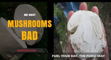Are Soggy Mushrooms Safe to Eat? A Culinary Guide