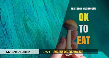 Are Soggy Mushrooms Safe to Eat? A Culinary Guide