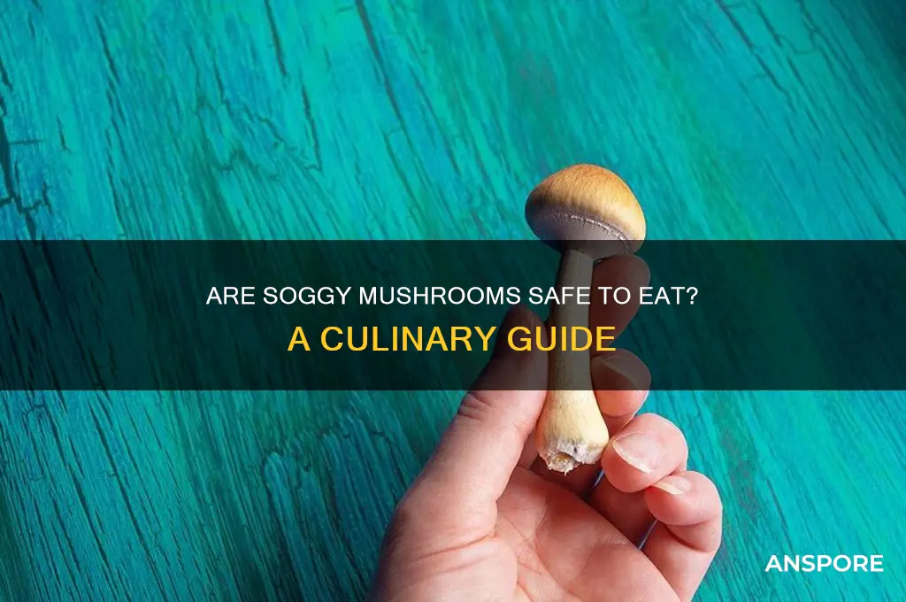 are soggy mushrooms ok to eat
