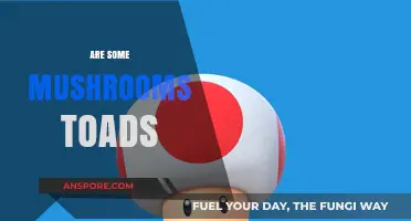 Toadstools: Mushrooms or Toads?