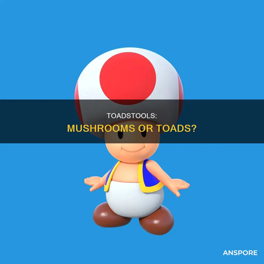 are some mushrooms toads