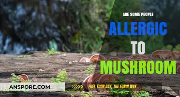 Mushroom Allergies: Are They Real?