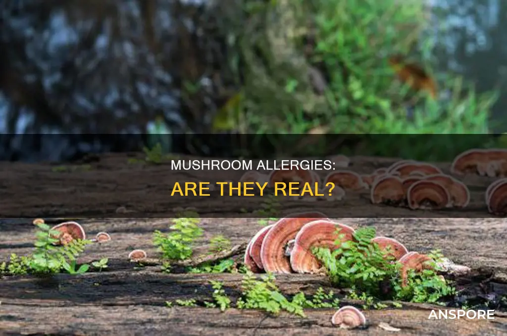 are some people allergic to mushrooms