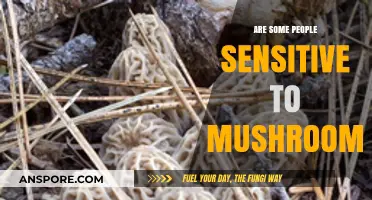 Mushroom Sensitivity: Why Some People Are Affected