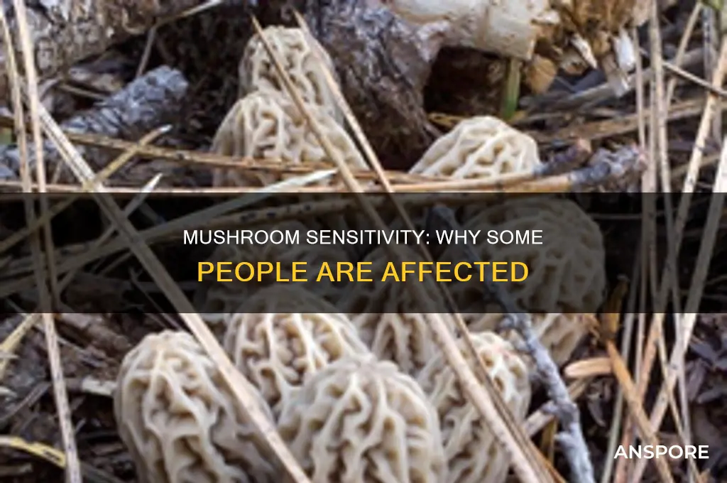 are some people sensitive to mushrooms