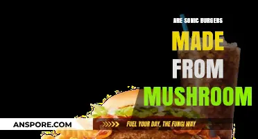Sonic's Mushroom Mystery: Burgers' Secret Sauce?
