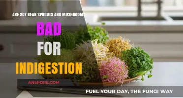Soy Bean Sprouts and Mushrooms: Indigestion Culprits or Safe to Eat?