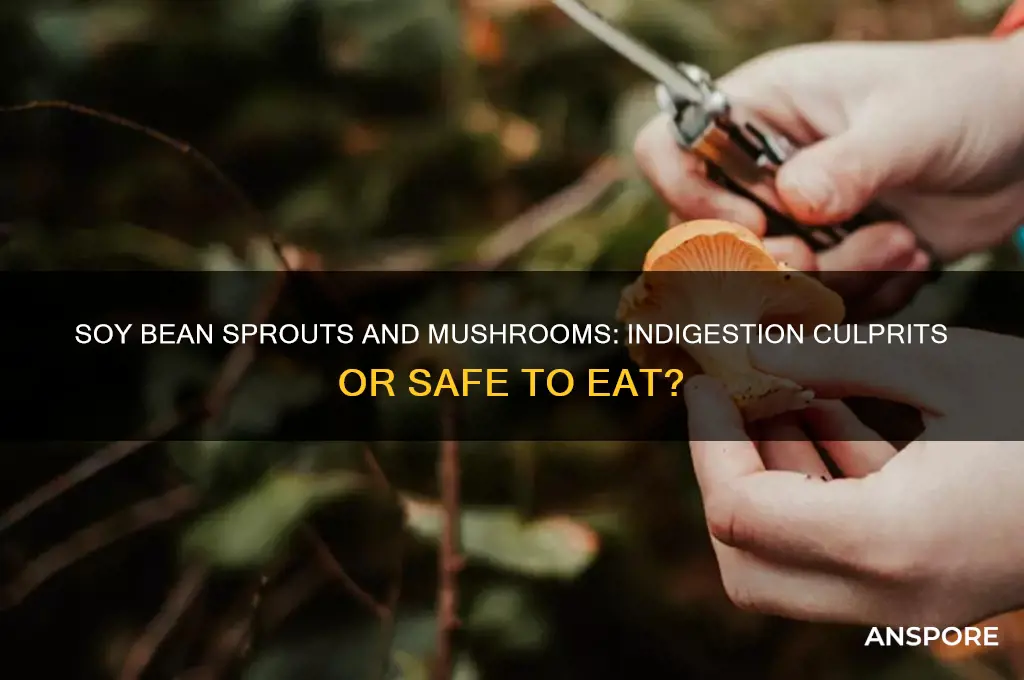 are soy bean sprouts and mushrooms bad for indigestion