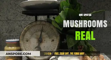 Spatsa Mushrooms: Myth or Reality?