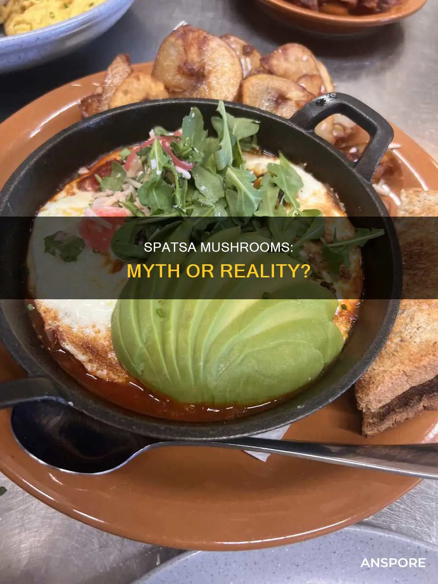are spatsa mushrooms real