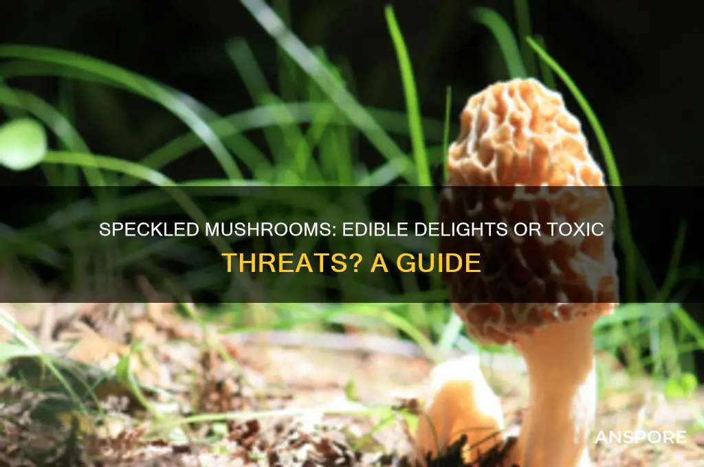 are speckled mushrooms edible