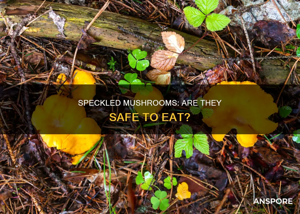 are speckled mushrooms safe