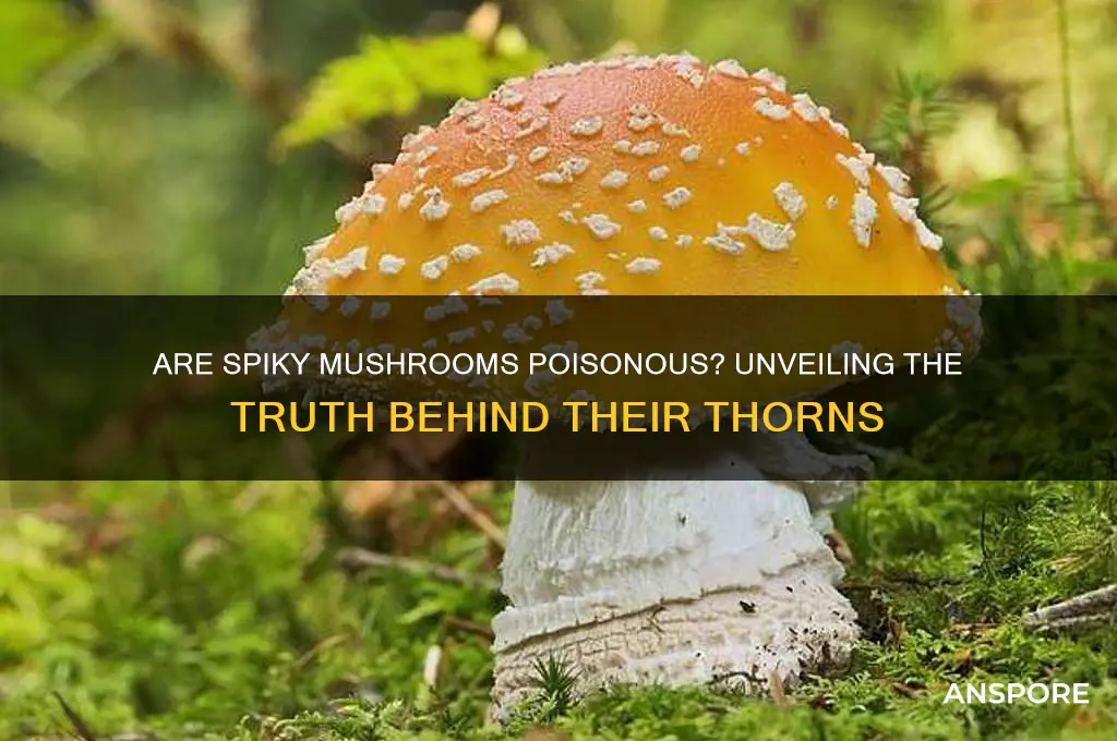 are spiky mushrooms poisonous