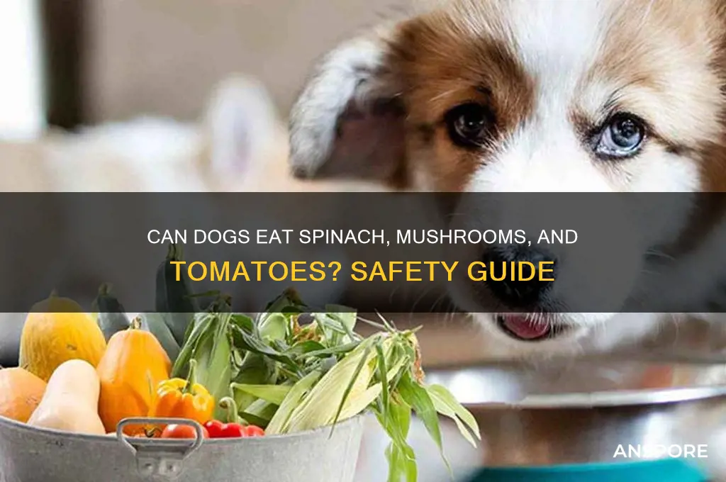 are spinach mushrooms and tomatoes safe for dogs to eat