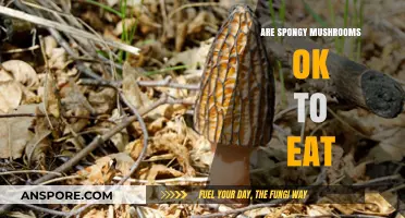 Are Spongy Mushrooms Safe to Eat? A Culinary Guide