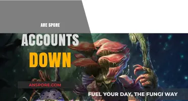 Is Spore Account Access Down? Current Status and Solutions