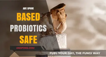 Are Spore-Based Probiotics Safe for Your Gut Health?