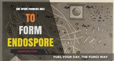 Can Spore Formers Successfully Develop Endospores? Unveiling the Process