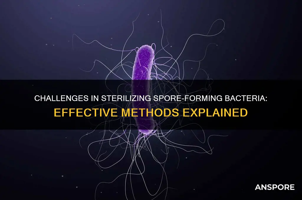 are spore forming bacteria had to sterilize