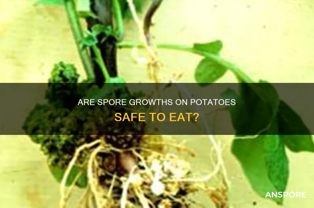 are spore growths on potatos ok to eat
