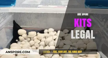 Are Spore Kits Legal? Understanding the Laws and Regulations