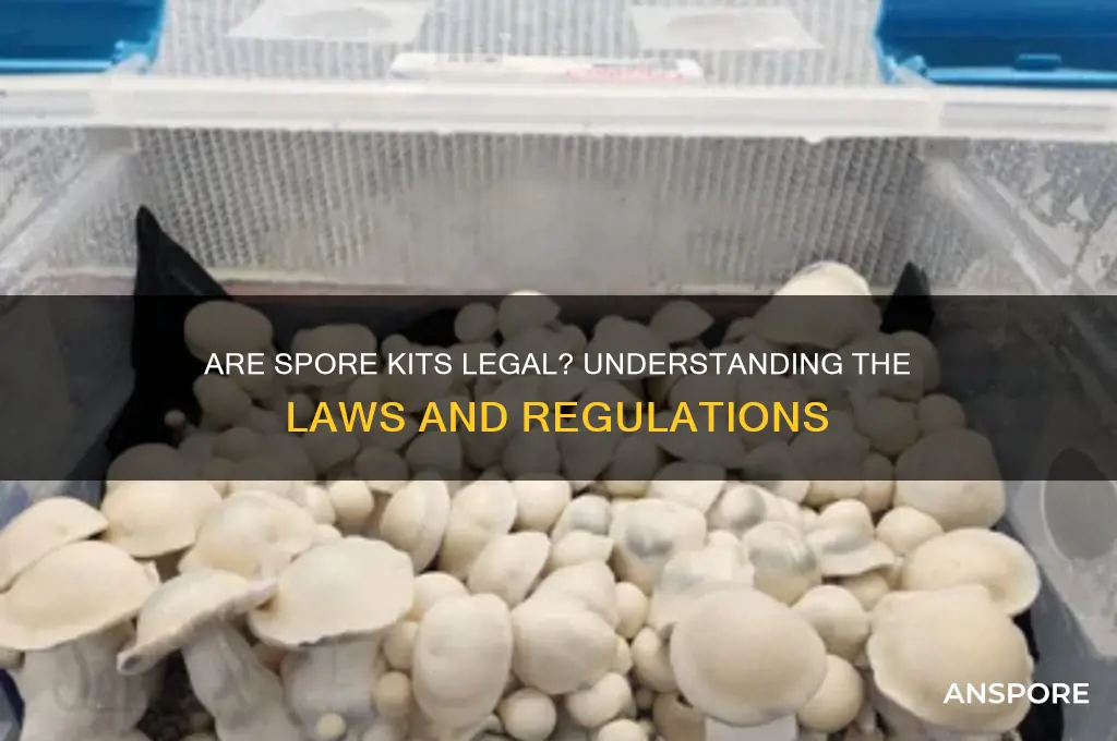 are spore kits legal