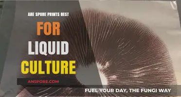 Spore Prints vs. Liquid Culture: Which Method Yields Better Results?