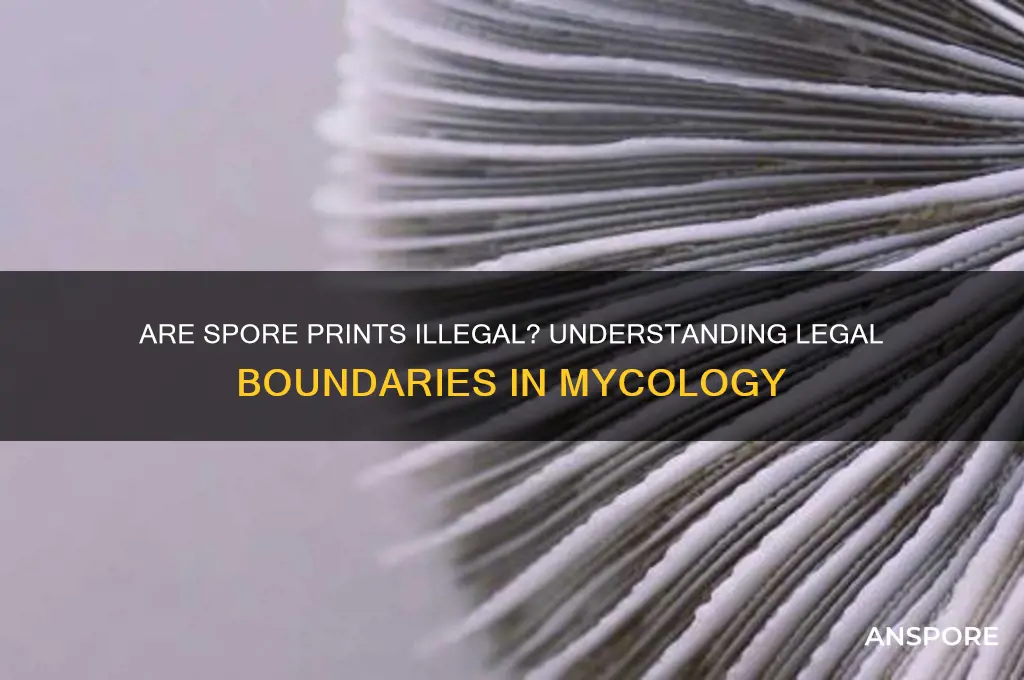 are spore prints illegal