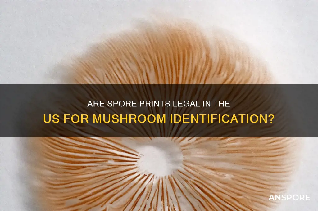 are spore prints legal in us mushroom