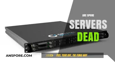 Are Spore Servers Still Alive? Exploring the Current State